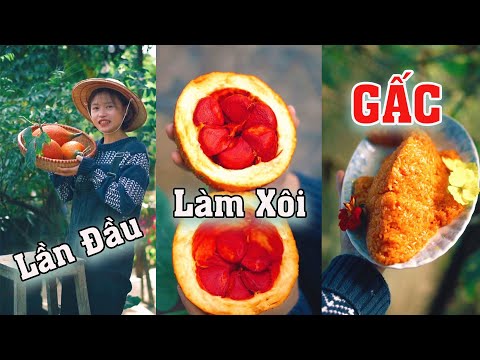 Video Lần Đầu Làm Xôi Gấc | Cách Tự Làm Xôi Gấc Cực Dễ |... - youtube