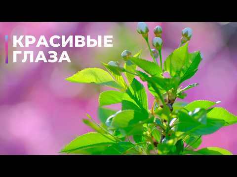 Beautiful Eyes Hidden Affirmations Subliminal 