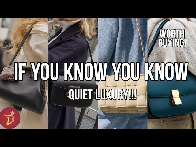 Replying to @alunsina404 #greenscreen quiet luxury iykyk bags