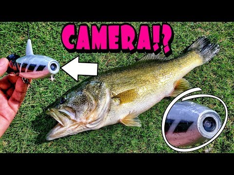 Fishing the Robotic Lure Moto Chug Topwater Popper Lure 