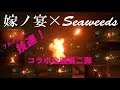 【ヲタ芸】嫁ノ宴とSeaweedsで楽しくフルメンバー技連！【嫁ノ宴×Seaweeds】