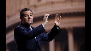 Ted Cruz Likes Porn on Twitter Staff Implies He Was Hacked