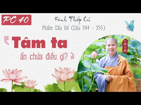 Tâm ta ẩn chứa điều gì? Kinh Pháp Cú, Phẩm Cấu Uế. Kệ 244-255. SC. Giác Lệ Hiếu