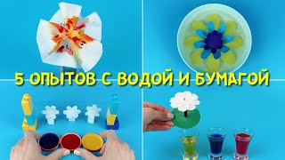 картинка: 5 экспериментов с водой и бумагой, которые объяснят ребенку науку о растениях
