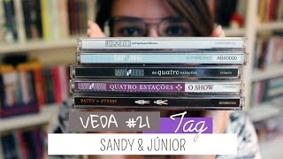 Tag Sandy & Júnior • Book Tag | VEDA #21