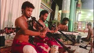 chinna Kannan alaikkiran | siththarth pirathith I nadaswaram