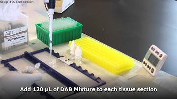 DAB Colormetric Reaction