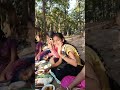 Picnic time 