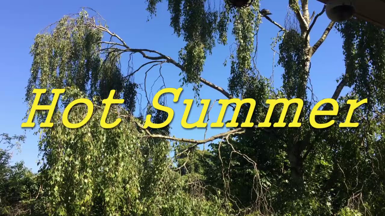 Adam Bond - Hot Summer