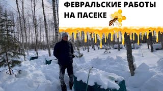 ФЕВРАЛЬСКИЕ РАБОТЫ ПА ПАСЕКЕ