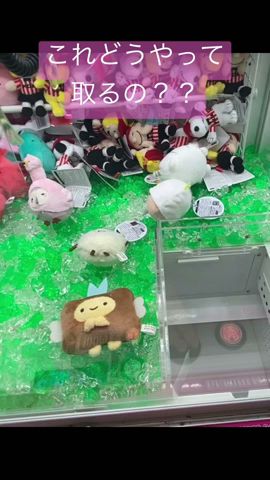 すみっこぐらし あじふらいのしっぽ攻略 Ufoキャッチャー クレーンゲーム すみっコぐらし あじふらいのしっぽ 攻略 Shorts クレーンゲーム攻略 ねこ しろくま Youtube すみっこぐらし あじふらいのしっぽ攻略 Ufoキャッチャー クレーンゲーム すみっコぐらし あじふらいのしっぽ 攻略 Shorts クレーンゲーム攻略 ねこ しろくま Youtube