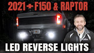 2021 + F150 AND RAPTOR CREE LED SPARTAN REVERSE LIGHTS (From F150LEDs.com)