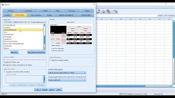 SPSSisFun: Pre-data entry option settings