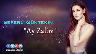 Elsen Pro & Seferli Güntekin - Ay Zalım Resimi