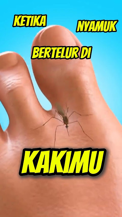 Ketika Seekor Nyamuk Bertelur Di Kakimu! 😱 #feedshorts #shorts #youtubeshorts #fyp #trending #viral