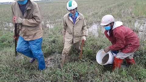 Cao thủ bắt chuột 🐁 bá đạo