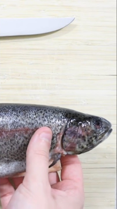 Skin & Debone a fish in seconds!