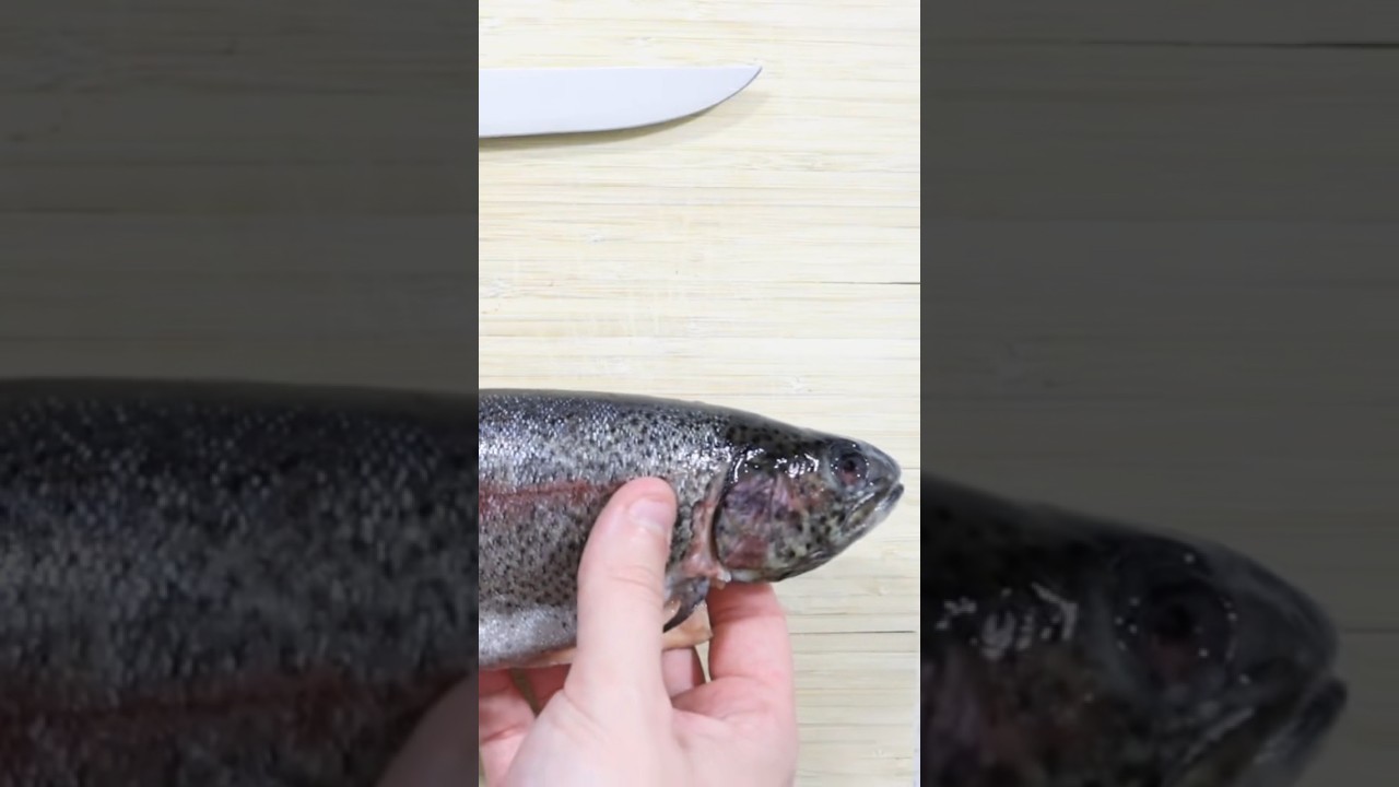 Skin \u0026 Debone a fish in seconds!