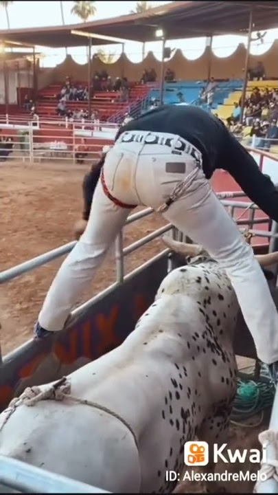 Rodeio sem as mãos