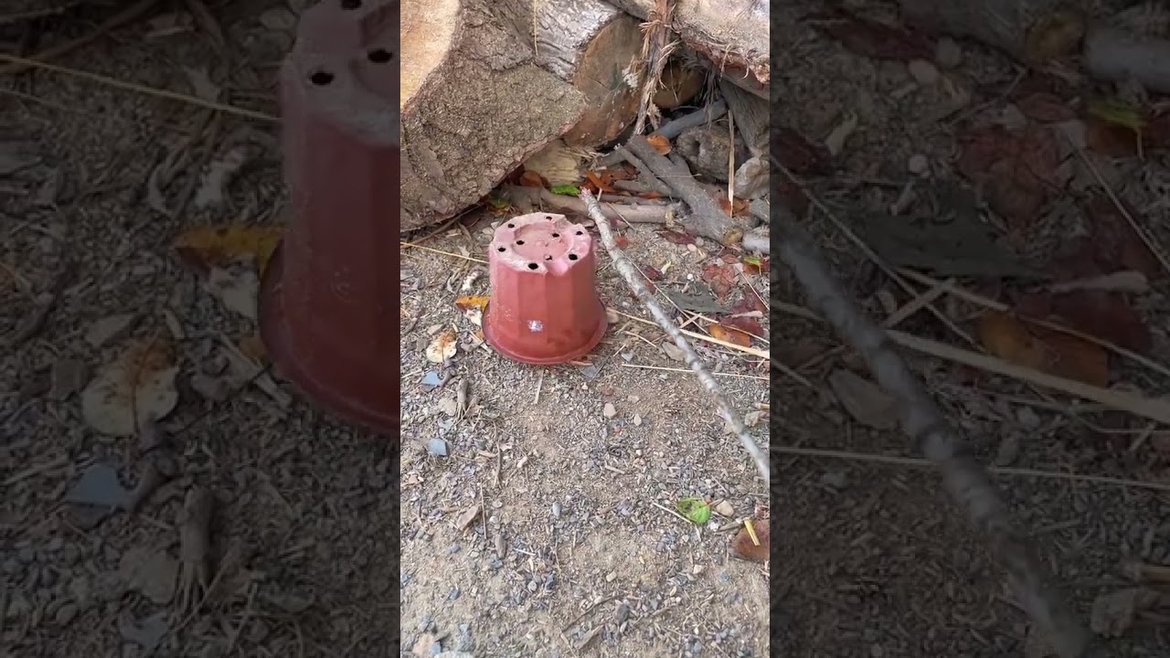 This pot of stew should be very nutritious, right Outdoor Food A Basin of Vegetables Post.