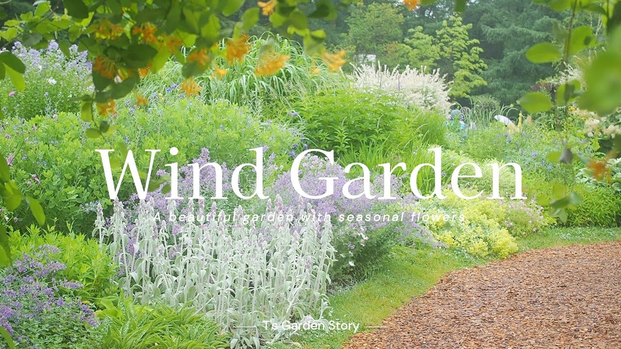 《Сад Ветра》Целебный сад с 450 видами цветов, цветущих каждый сезон 《Садоводство》