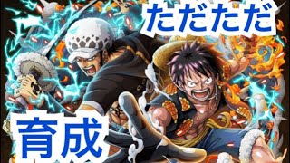 育成 ルフィ ロー 虹フレーム目指しながら Youtube