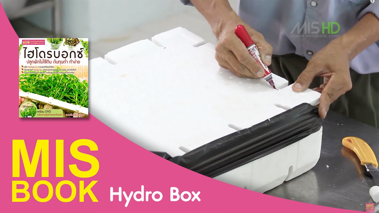 ไฮโดรบอกซ์ ปลูกผักไม่ใช้ดิน ต้นทุนตำ่ ทำง่าย | การทำกล่องปลูก | MISbook