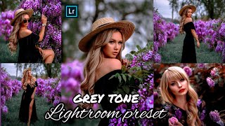 Lightroom present grey tone Lightroom preset DNG+XMP file free 😯2020 ❤️ screenshot 4