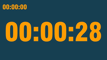 28 second timer (with end alarm, time elapsed and progress bar)