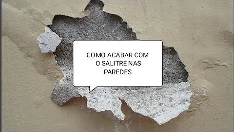 O que causa salina nas paredes?