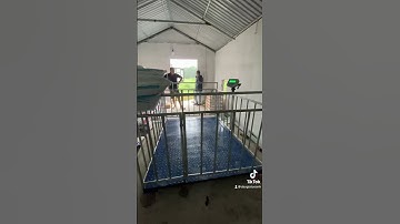 Lắp cân điện tử 1,5 x2m cân 7-8 con / lần 200kg tại Minh Tân - Hưng Yên 0972977810