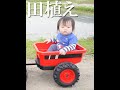 田植えを手伝う姉弟に密着🔰【喧嘩勃発】 #Shorts