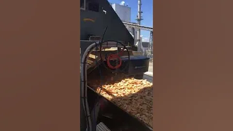 Moisture Measurement of Wood Chips for Pulp Mill