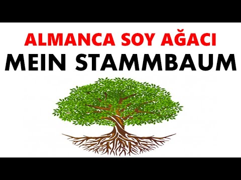 17.DERS ALMANCA|9.sınıf 3.ÜNİTE Ders 17| Aile Soyağacı - mein Stammbaum