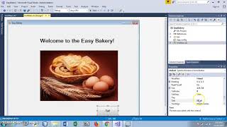 Visual Basic IDE Basics #2
