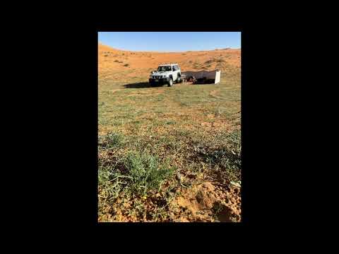 نفود الدهنا 1442 7 14 نقا المطوع