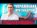 Упражнения при синдроме грушевидной мышцы! Александр Печиборщ