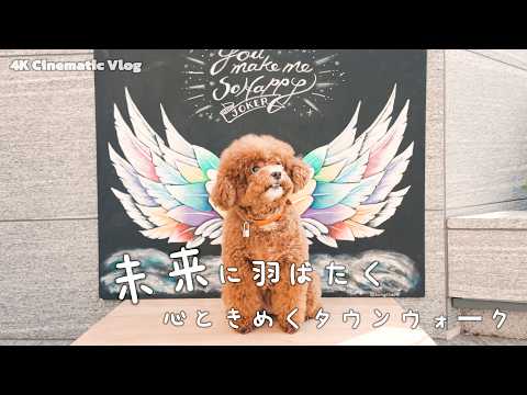 わんこパラダイス ニュウマン高輪｜愛犬とドッグフレンドリーな高輪ゲートウェイシティを散策｜30代 独身男性 × トイプードル いなり【4K Cinematic Vlog】のサムネイル