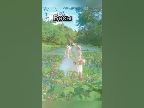 Эстетика #зз #весы - YouTube