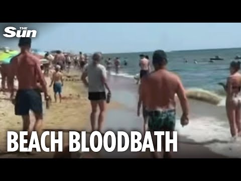 Swimmers killed after being blown up by Black Sea MINES drifting into tourist beaches