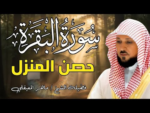 استمع الى رحلة روحانية مع سورة البقرة تبعث الطمأنينة الشيخ ماهر المعقلى