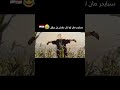 سبايدر مان عراقي Foryou Foryoupage اي شلونكم ضحك تحشيش عراقي ميمز كارتون اكسبلور فولو Fyp 