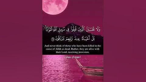 سورة آل عمران من 166 الى 170