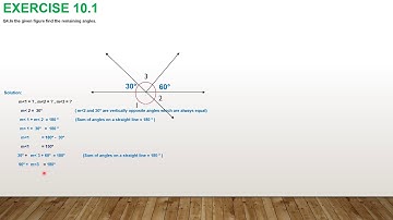 Grade 7 Math Unit 10 Fundamentals of Geometry EXE 10 .1 (Q 4,5,6)