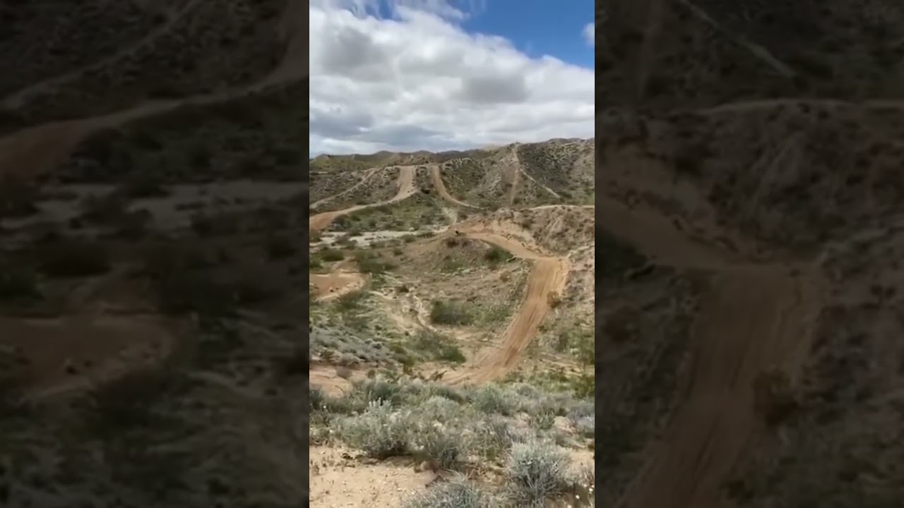 Don’t be silly. I’m still gonna send it! 