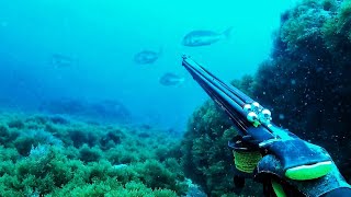 vacaciones en remojo   PESCA DESDE ORILLA