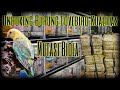 Unboxing Lovebird Oktober Pengumuman Pemenang Give Away Mp3 - Mp4 Download