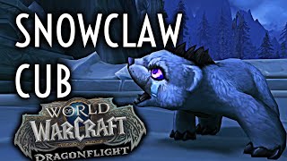 WoW Guide - Snowclaw Cub - Pet