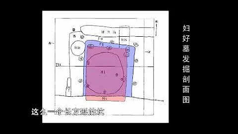 殷墟妇好墓的发现与研究 [郑振香] - 天天要闻