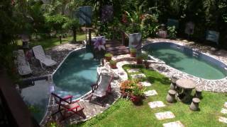 The Lotus Garden Hotel 